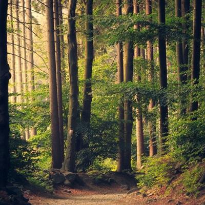 开云体云app下载手机版