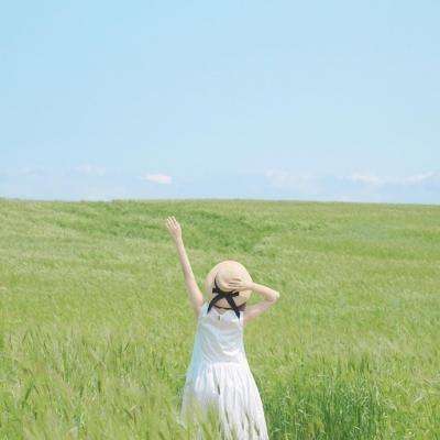 助赢软件app下载手机版