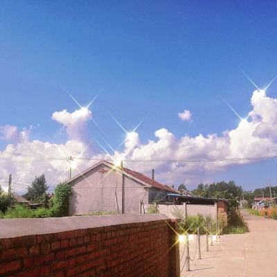 澳门天天免费资料大全下载app下载