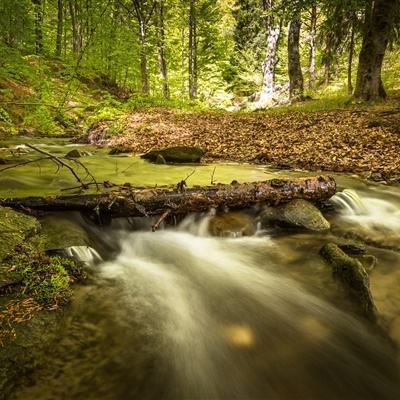 天博平台(中国)官方网站