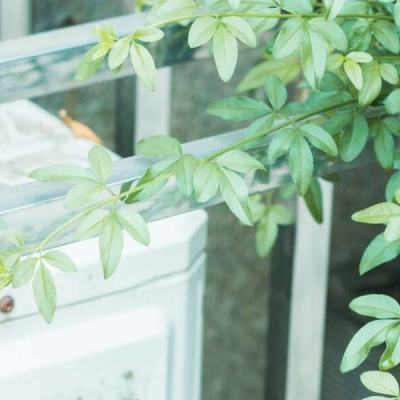 大小单双赚钱平台